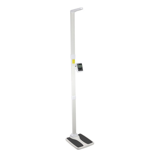 Professional Office Scale